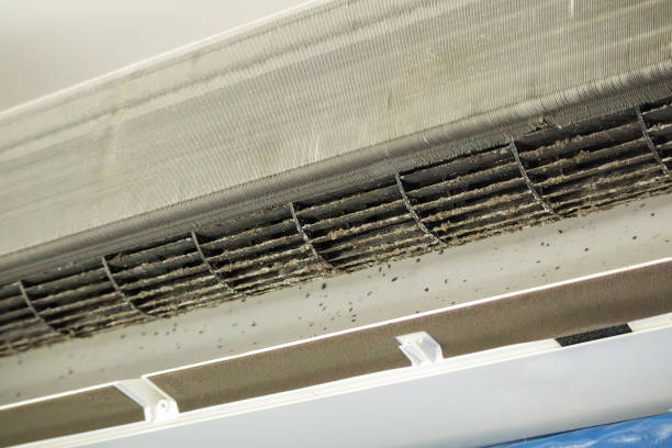 Best Affordable Air Duct Cleaning  in Moorhead, MS